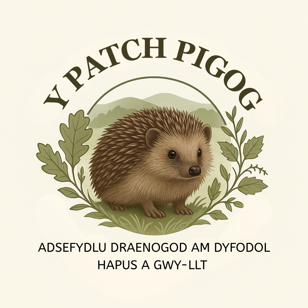 Y Clwt Pigog