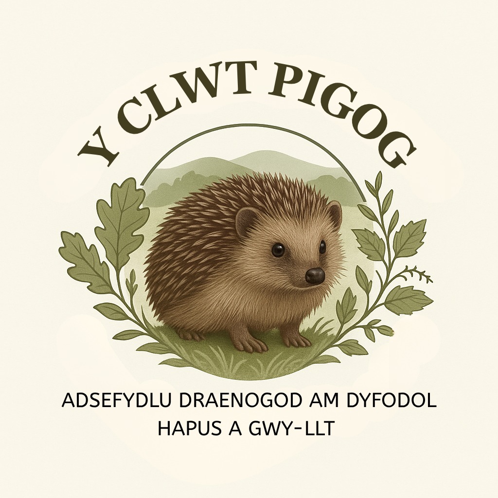 Y Clwt Pigog