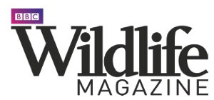 bbc wildlife magazine